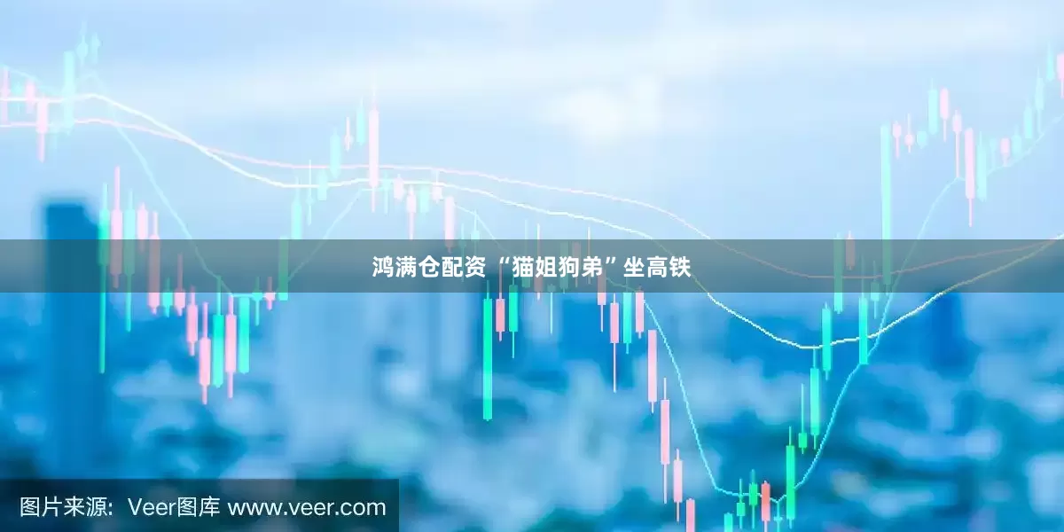 鸿满仓配资 “猫姐狗弟”坐高铁