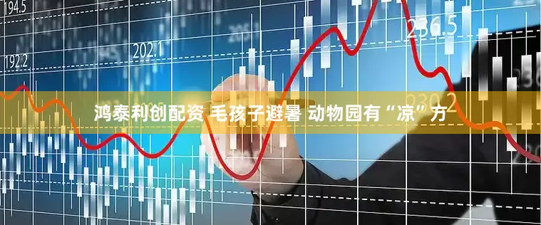 鸿泰利创配资 毛孩子避暑 动物园有“凉”方