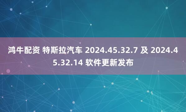 鸿牛配资 特斯拉汽车 2024.45.32.7 及 2024.45.32.14 软件更新发布