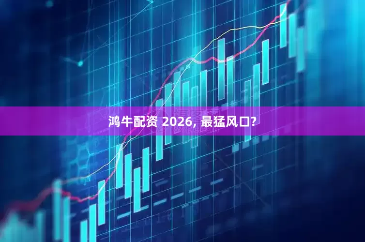 鸿牛配资 2026, 最猛风口?