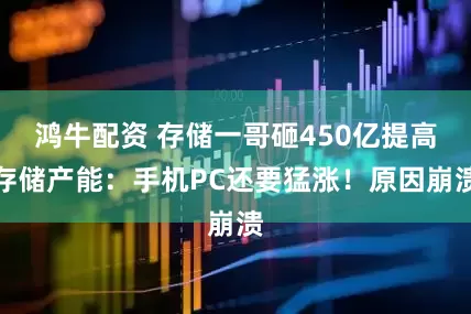鸿牛配资 存储一哥砸450亿提高存储产能：手机PC还要猛涨！原因崩溃